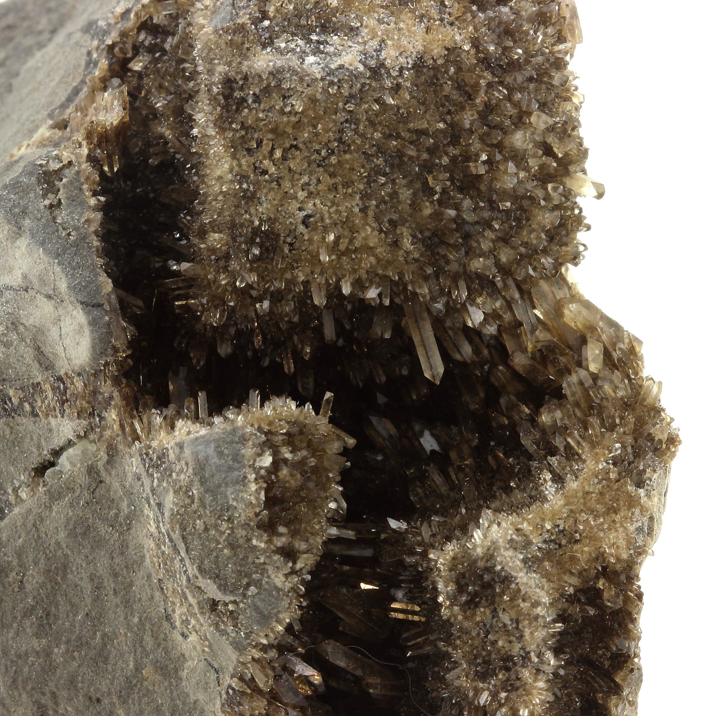 Septaria à Barytine. 1204.0 carats. Hyèges, Moriez, Alpes-de-Haute-Provence, France