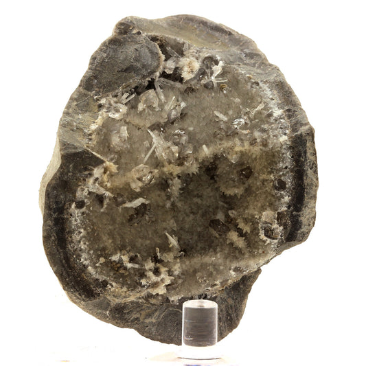 Septaria, Quartz diamant, Celestine. 1222.0 carats. Condorcet, Drôme, France