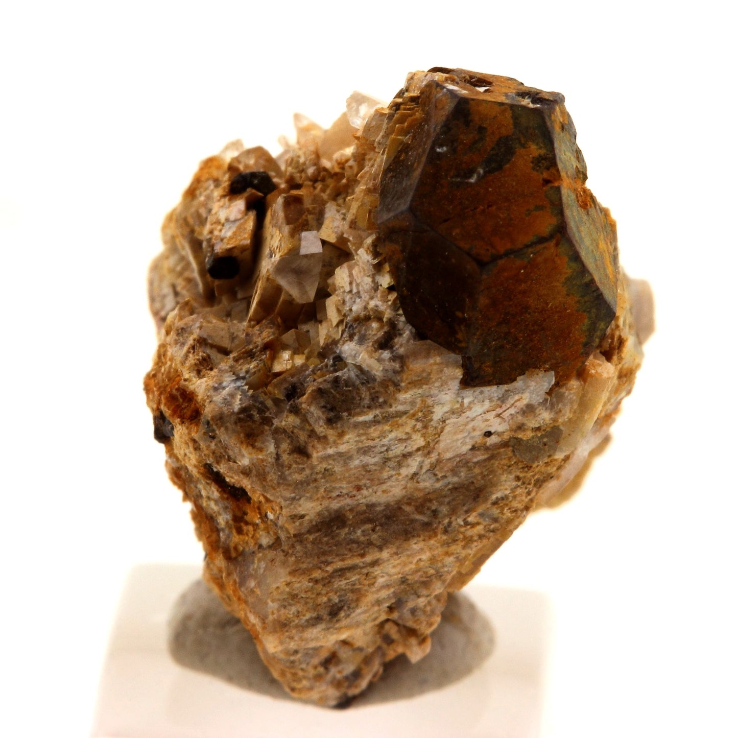 Pyrite + Calcite + Dolomite. 13.0 carats. Lamalou-les-Bains, Hérault, Occitanie, France