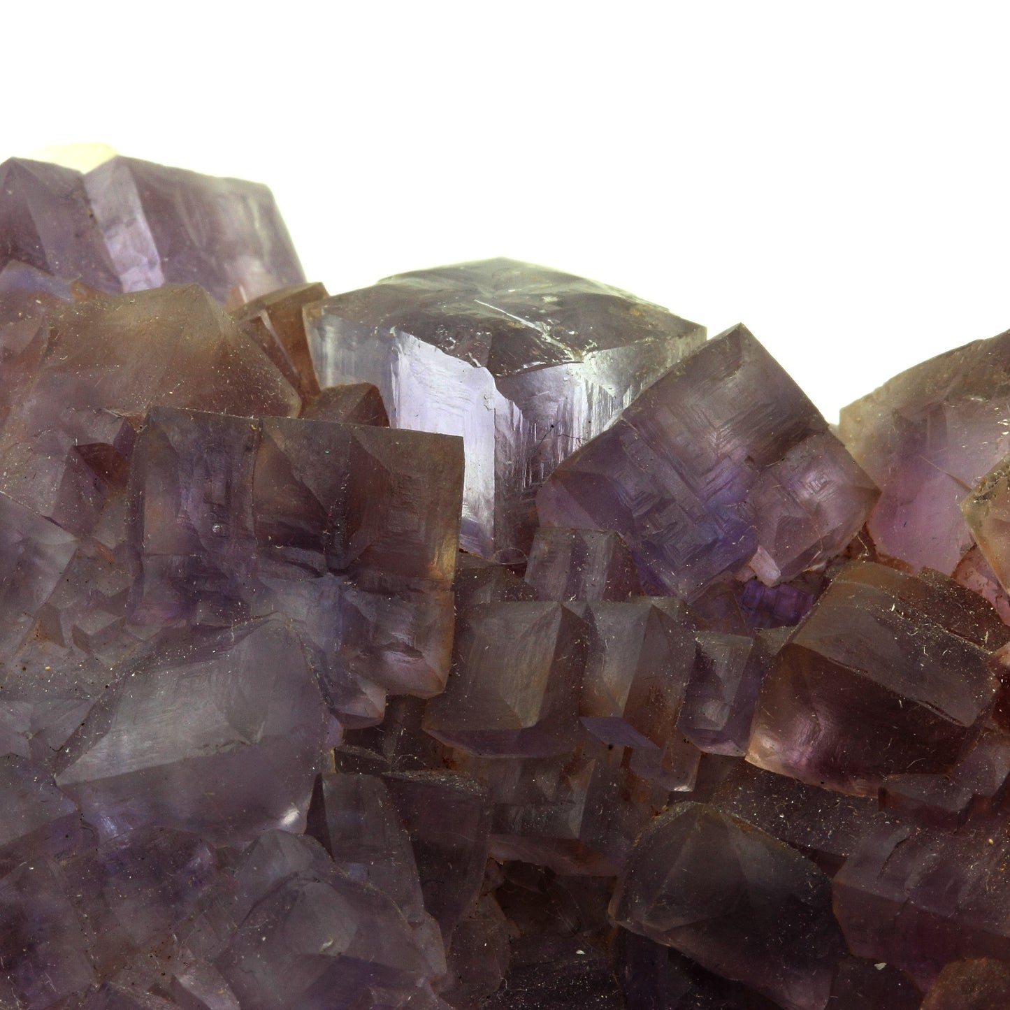Fluorite. 1777.0 carats. Caravia Alta, Asturies, Espagne