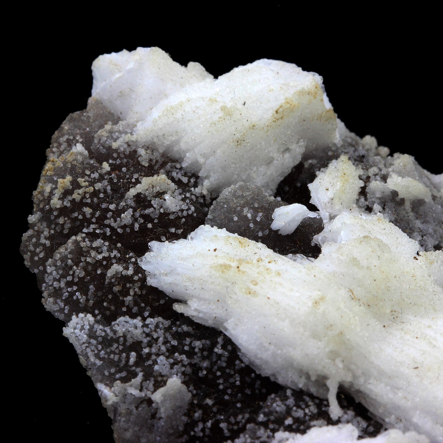 Fluorite + Baryte. 667.0 carats. Les Porres, Les Arcs, Var, France