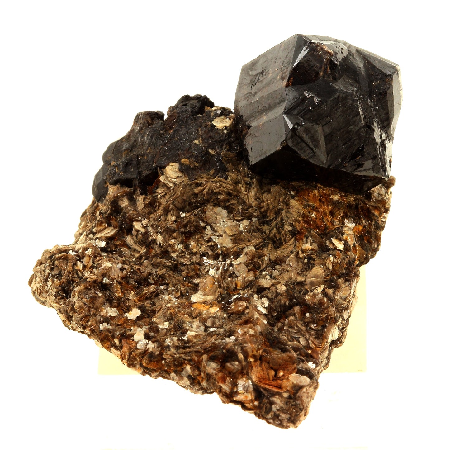Cassiterite. 346.0 carats. Mont Lyell, Tasmanie, Australie