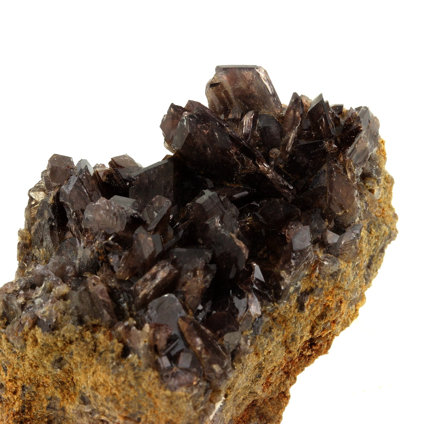 Axinite. 558.0 carats. El Hammam, Fès-Meknès, Maroc