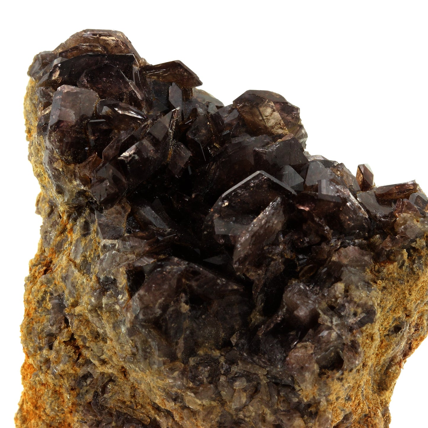 Axinite. 558.0 carats. El Hammam, Fès-Meknès, Maroc