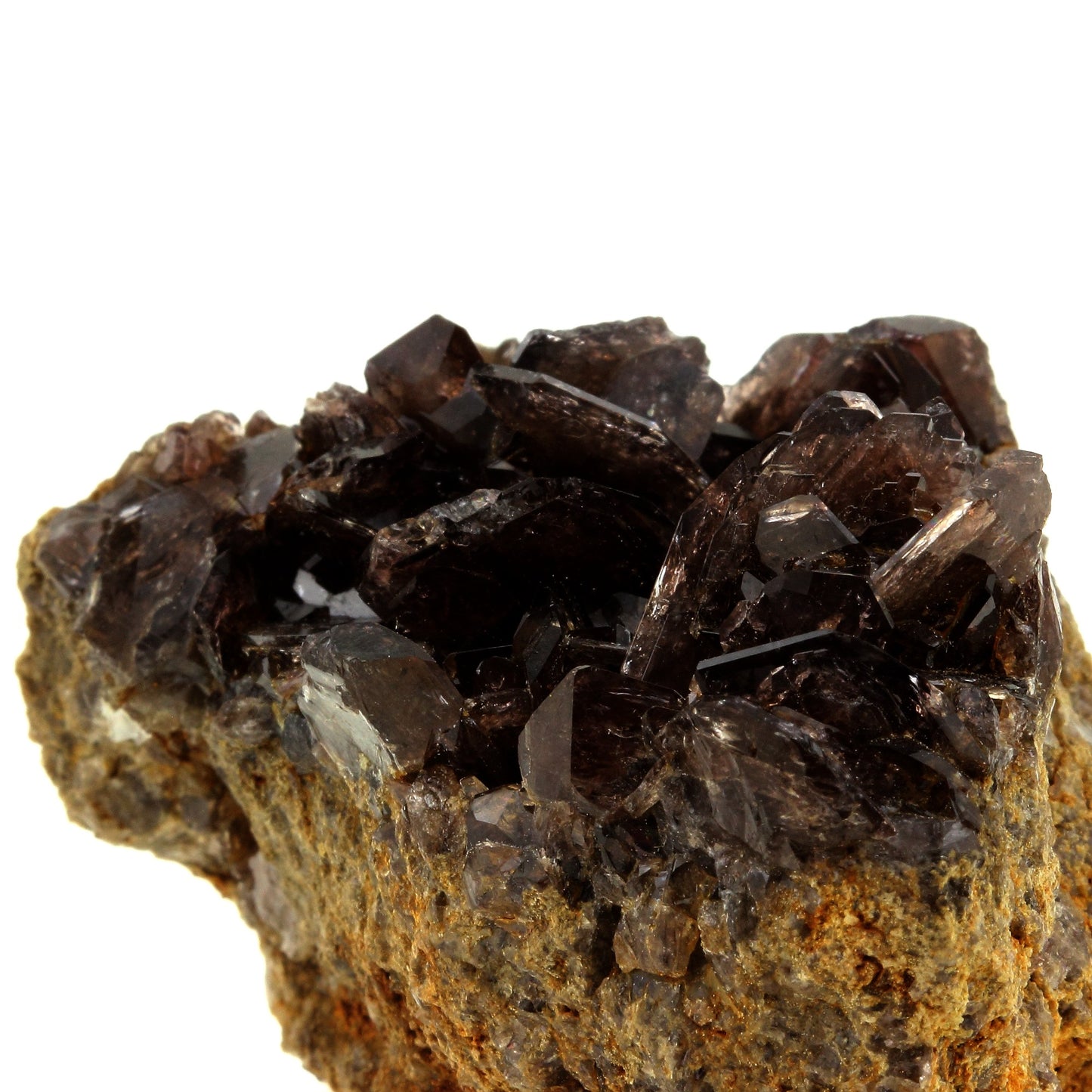 Axinite. 558.0 carats. El Hammam, Fès-Meknès, Maroc