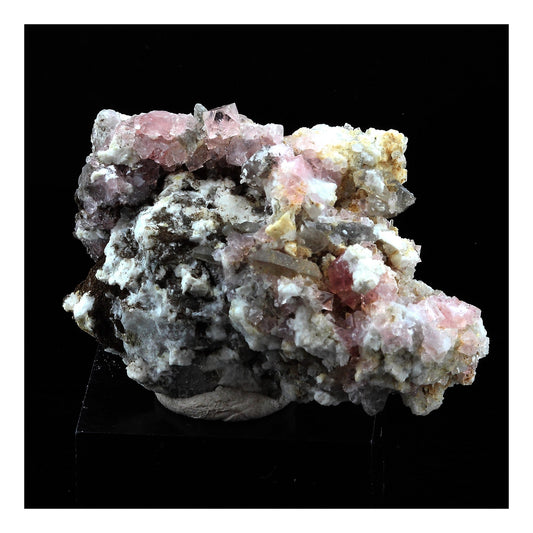 Fluorite rose + Chlorite. 40.0 carats. Massif du Mont-Blanc, France