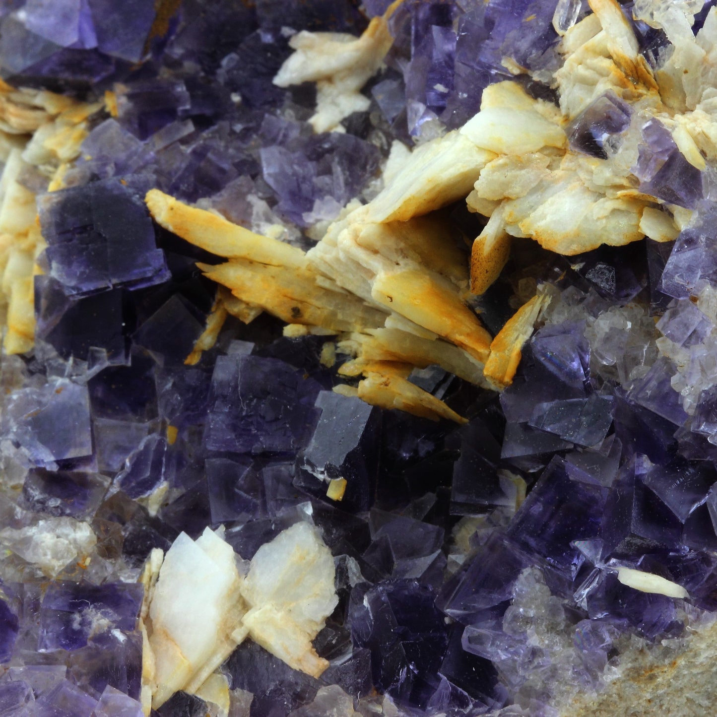 Fluorite + Baryte + Quartz. 2343.0 carats. La Cabaña, Berbes, Asturias, Espagne