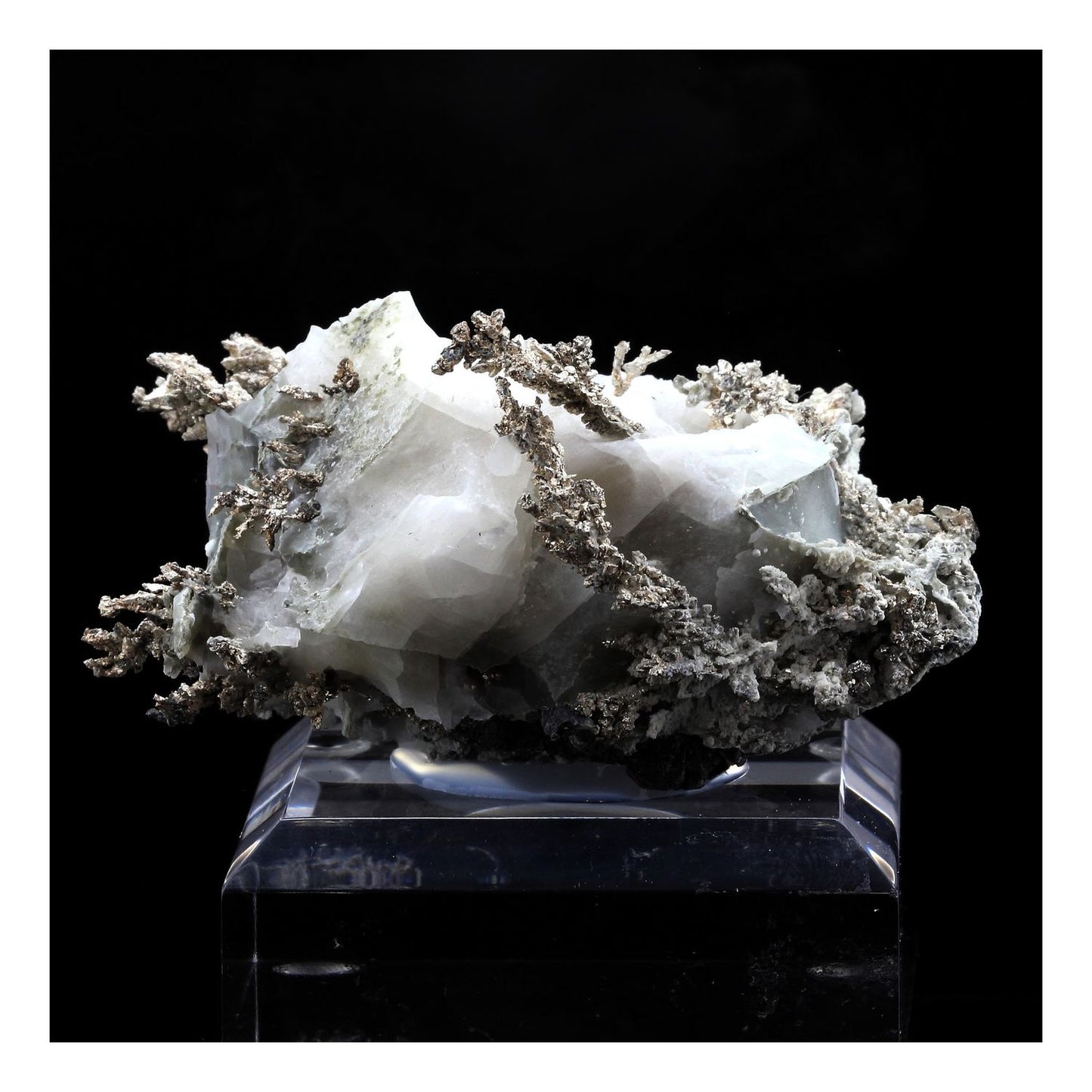 Argent natif. 781.0 carats. Imiter Mine, Drâa-Tafilalet, Maroc