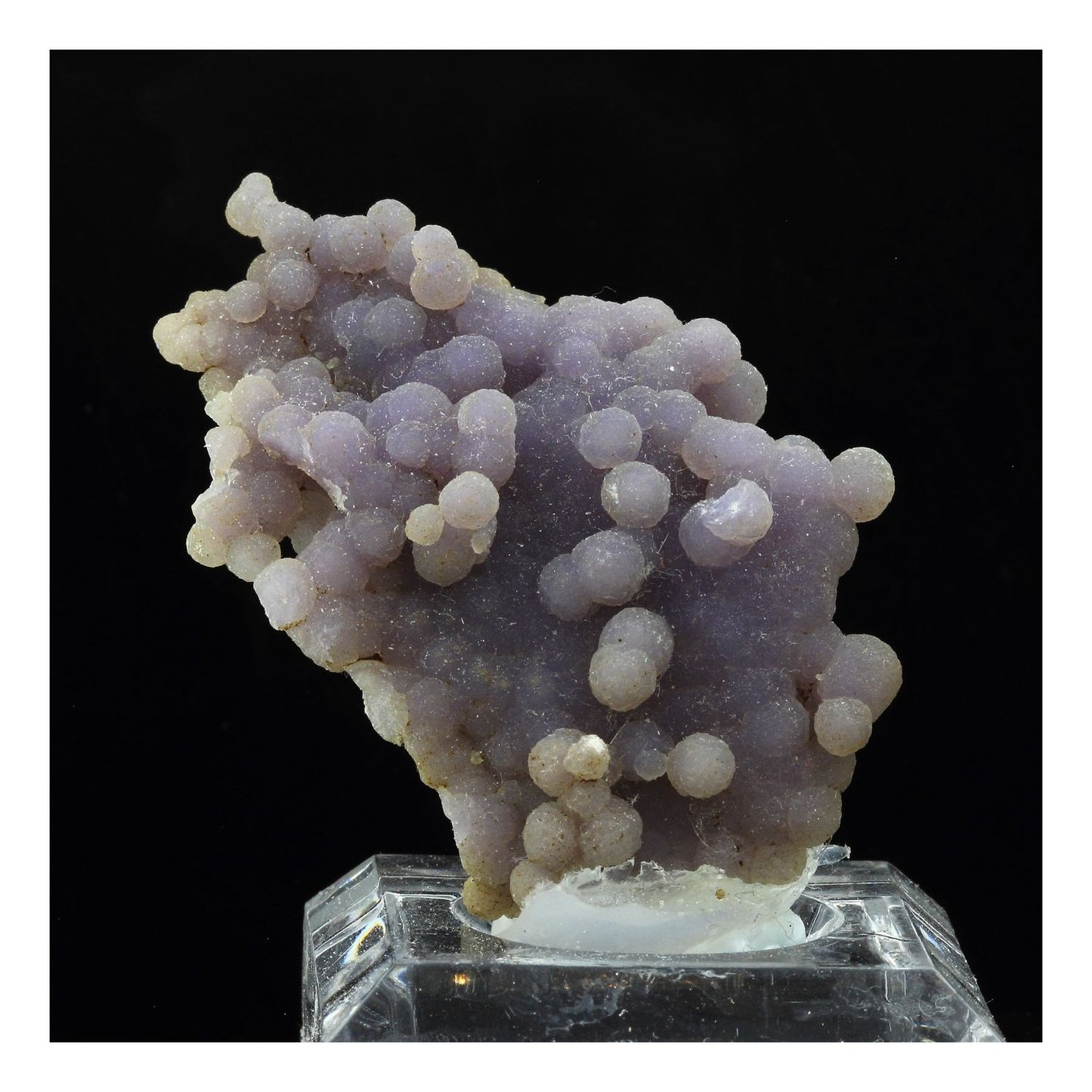 Calcédoine, 180.0 carats, Mamuju Sulawesi, Indonésie