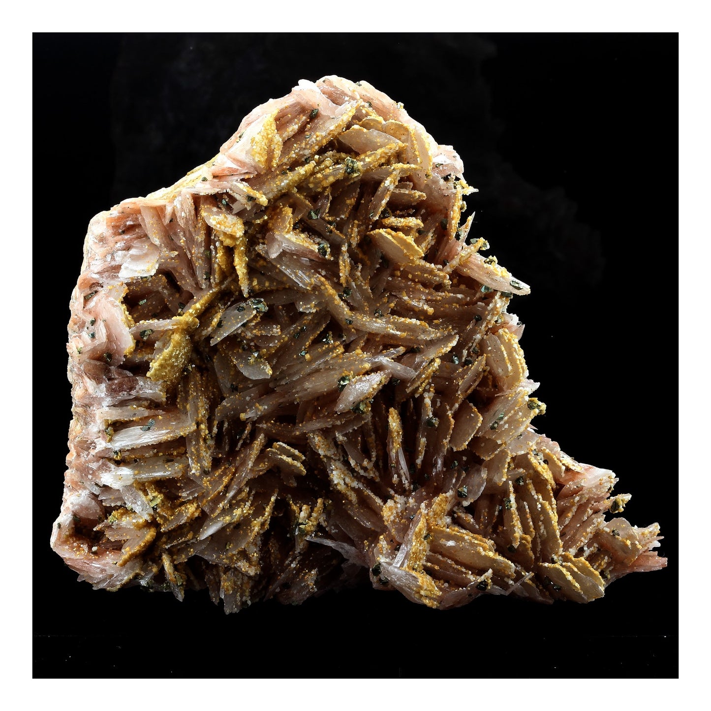 Baryte + Pyrite. 3610.0 carats. Maroc