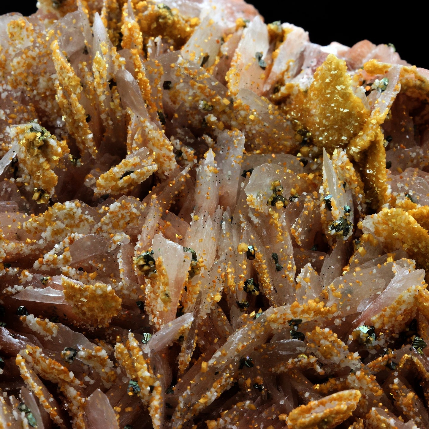 Baryte + Pyrite. 3610.0 carats. Maroc