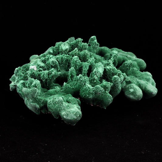 Malachite. 2537.0 carats. En provenance de Milpillas Mine, Sonora, Mexique