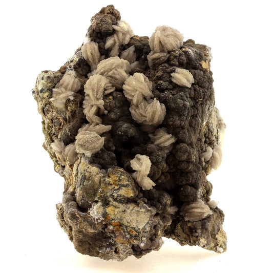 Baryte + Pyrite. 2450.0 carats. Saint-Laurent-le-Minier, Occitanie, France