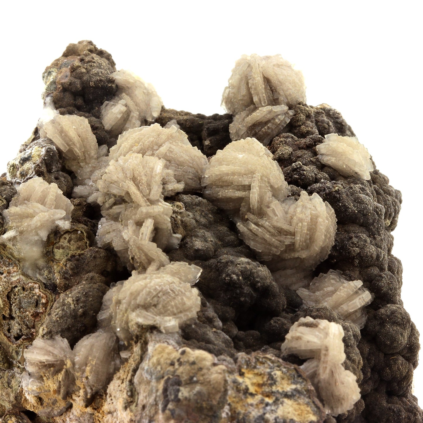 Baryte + Pyrite. 2450.0 carats. Saint-Laurent-le-Minier, Occitanie, France