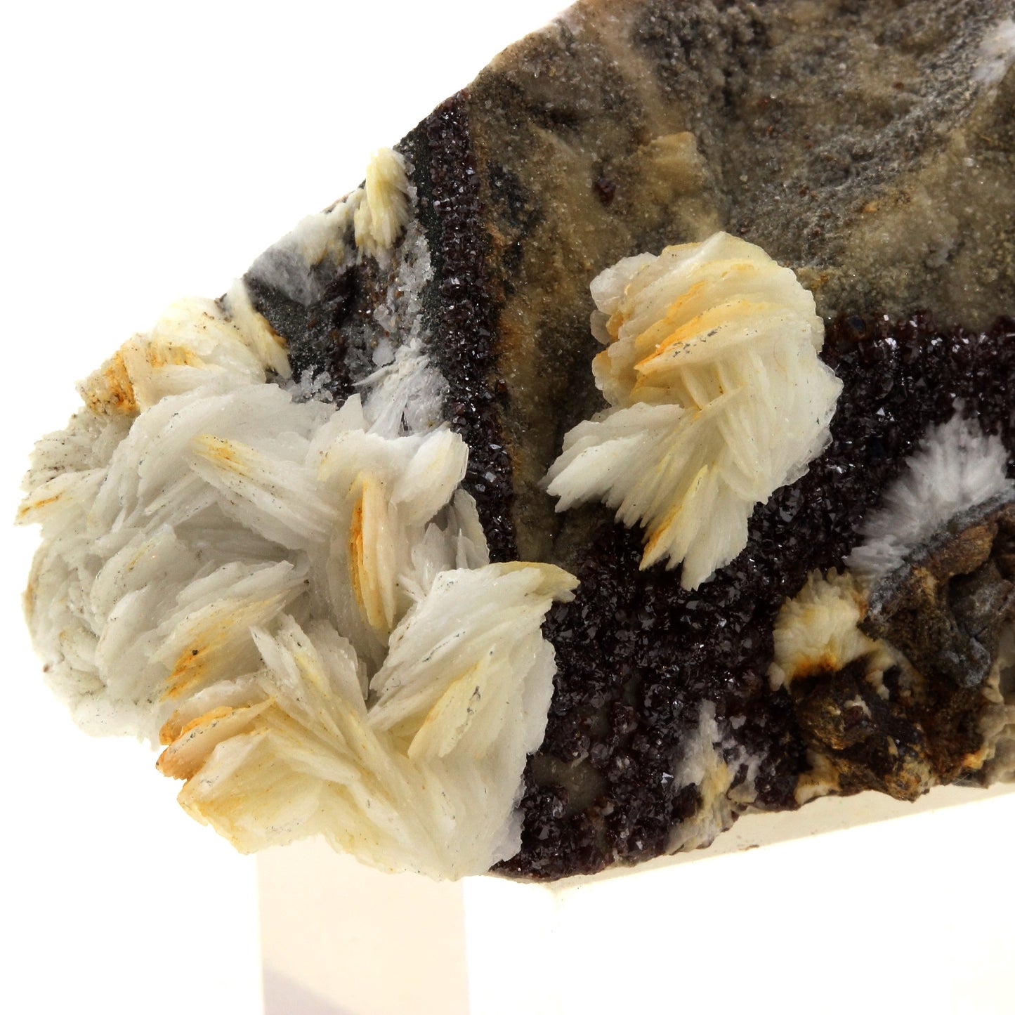 Baryte + Sphalerite. 725.0 carats. Saint-Laurent-le-Minier, Occitanie, France