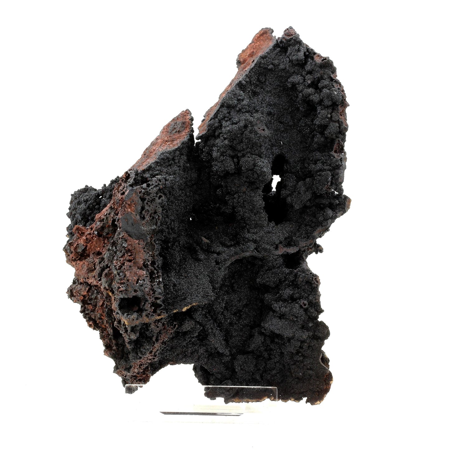 Goethite. 2790.0 carats. Mont-Roc, Villefranche d'Albigeois, Tarn, France