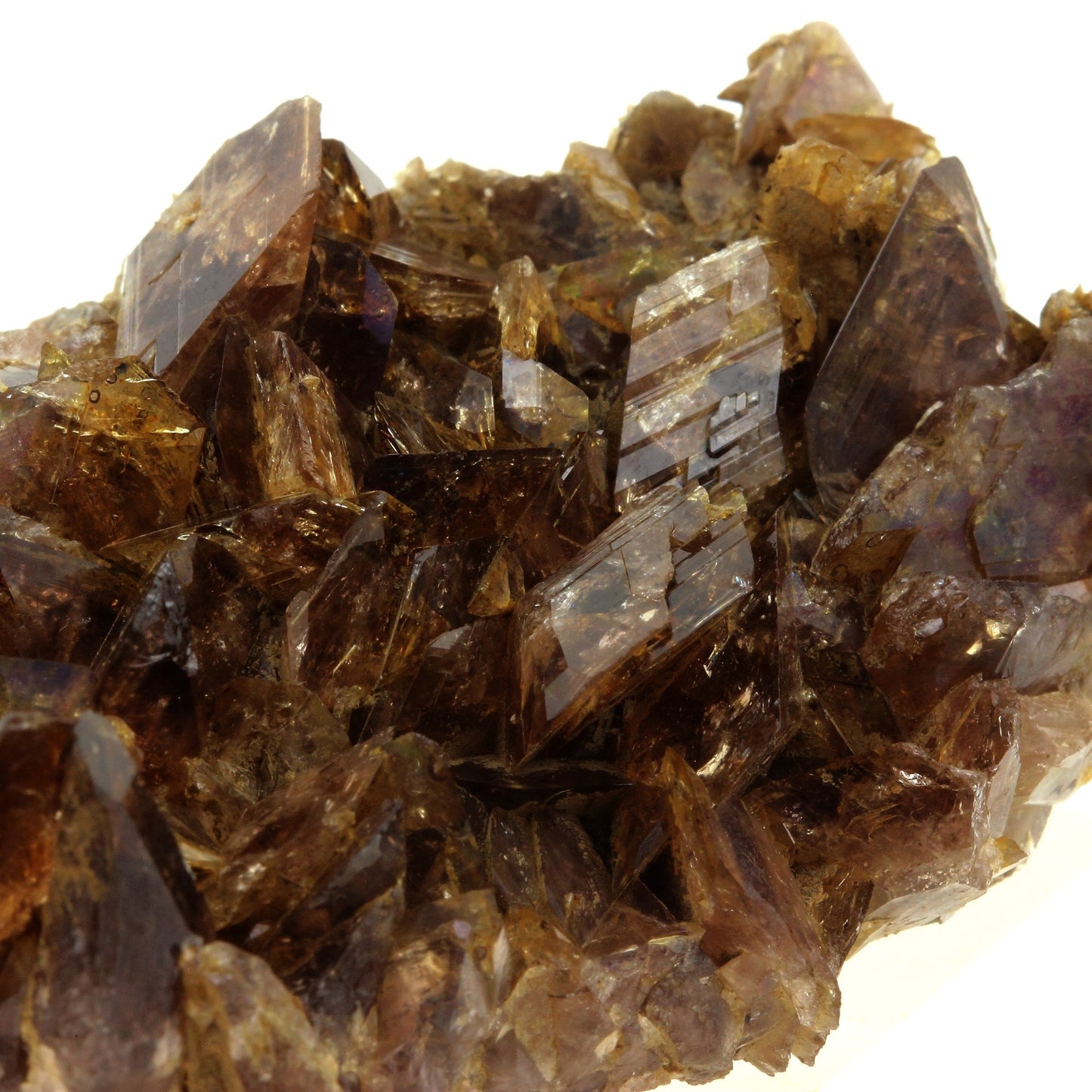 Axinite. 375.0 carats. Chamrousse, Belledonne, Isère, France