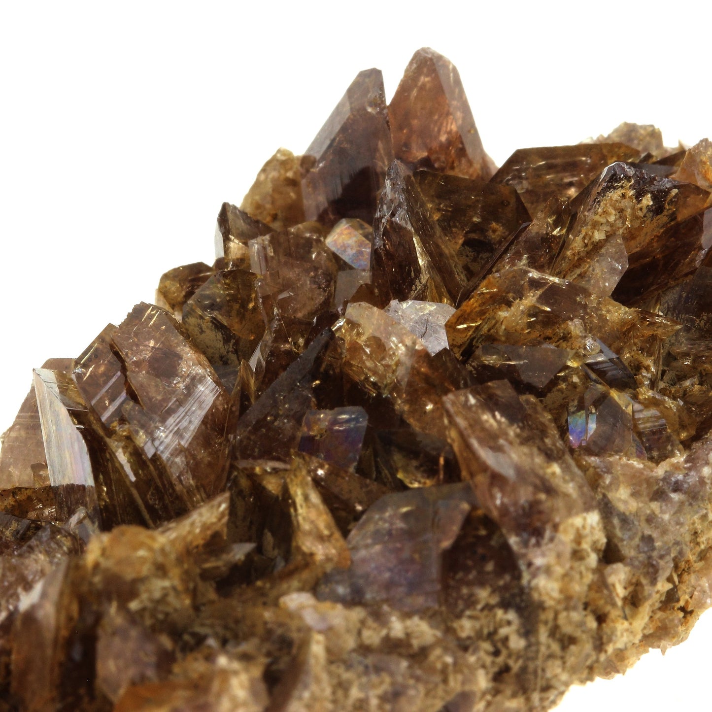 Axinite. 375.0 carats. Chamrousse, Belledonne, Isère, France