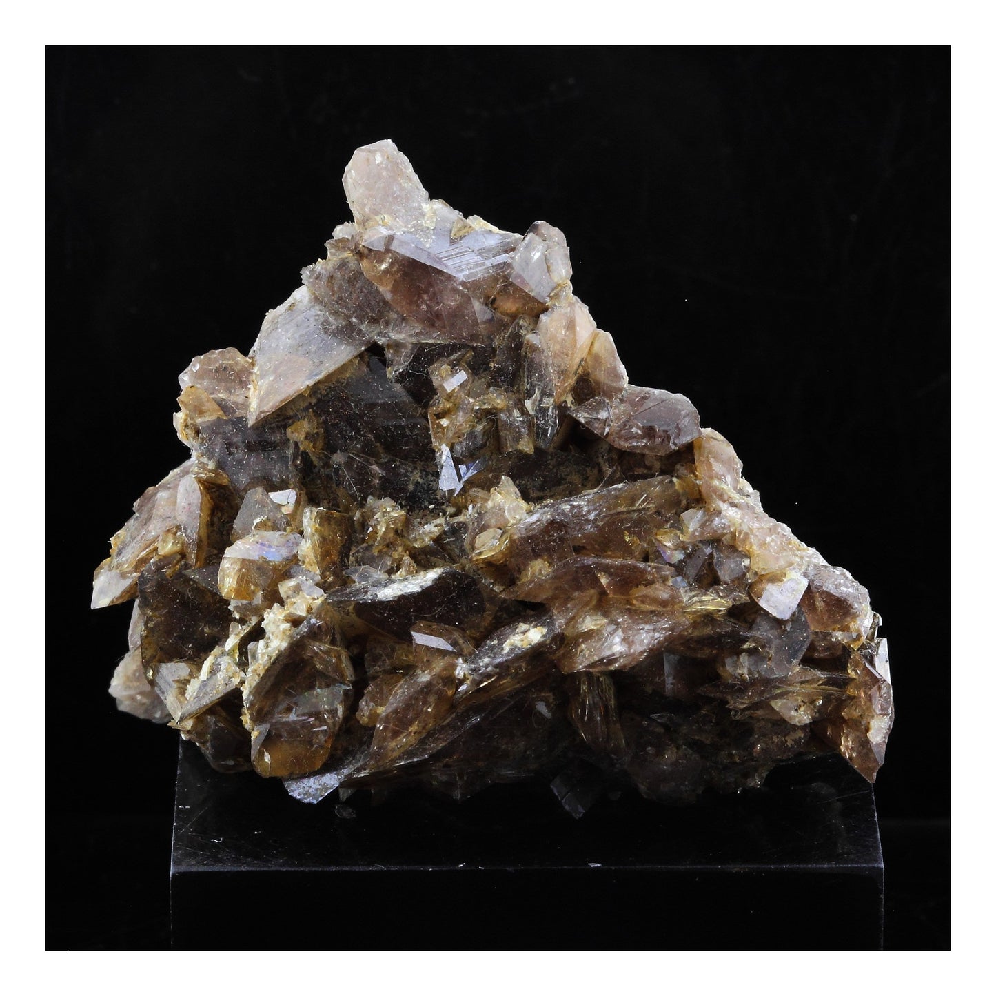 Axinite. 207.0 carats. Chamrousse, Belledonne, Isère, France