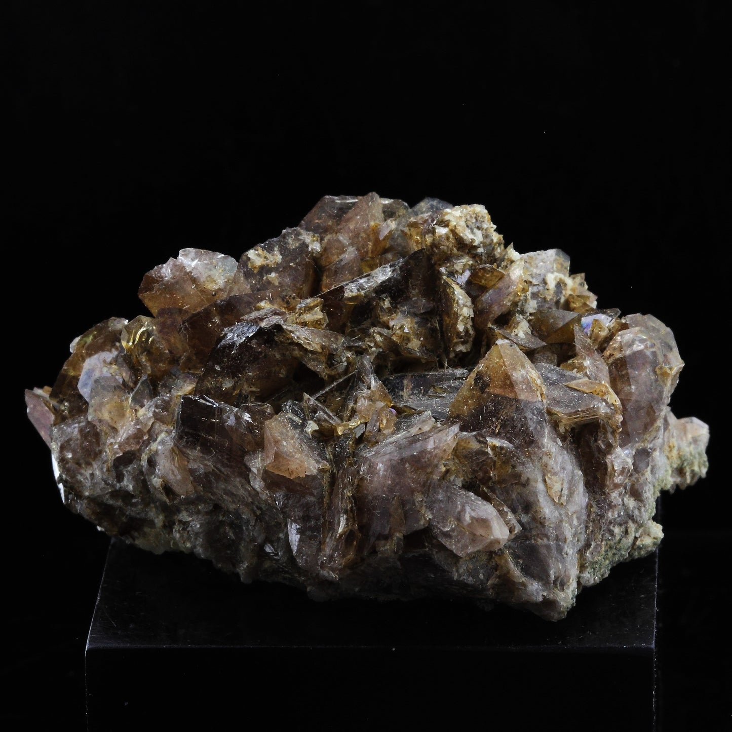 Axinite. 207.0 carats. Chamrousse, Belledonne, Isère, France