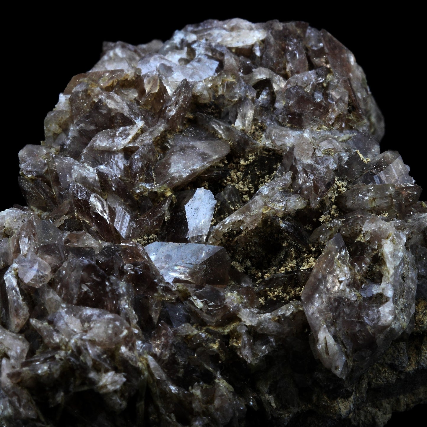Axinite. 497.0 carats. Chamrousse, Belledonne, Isère, France