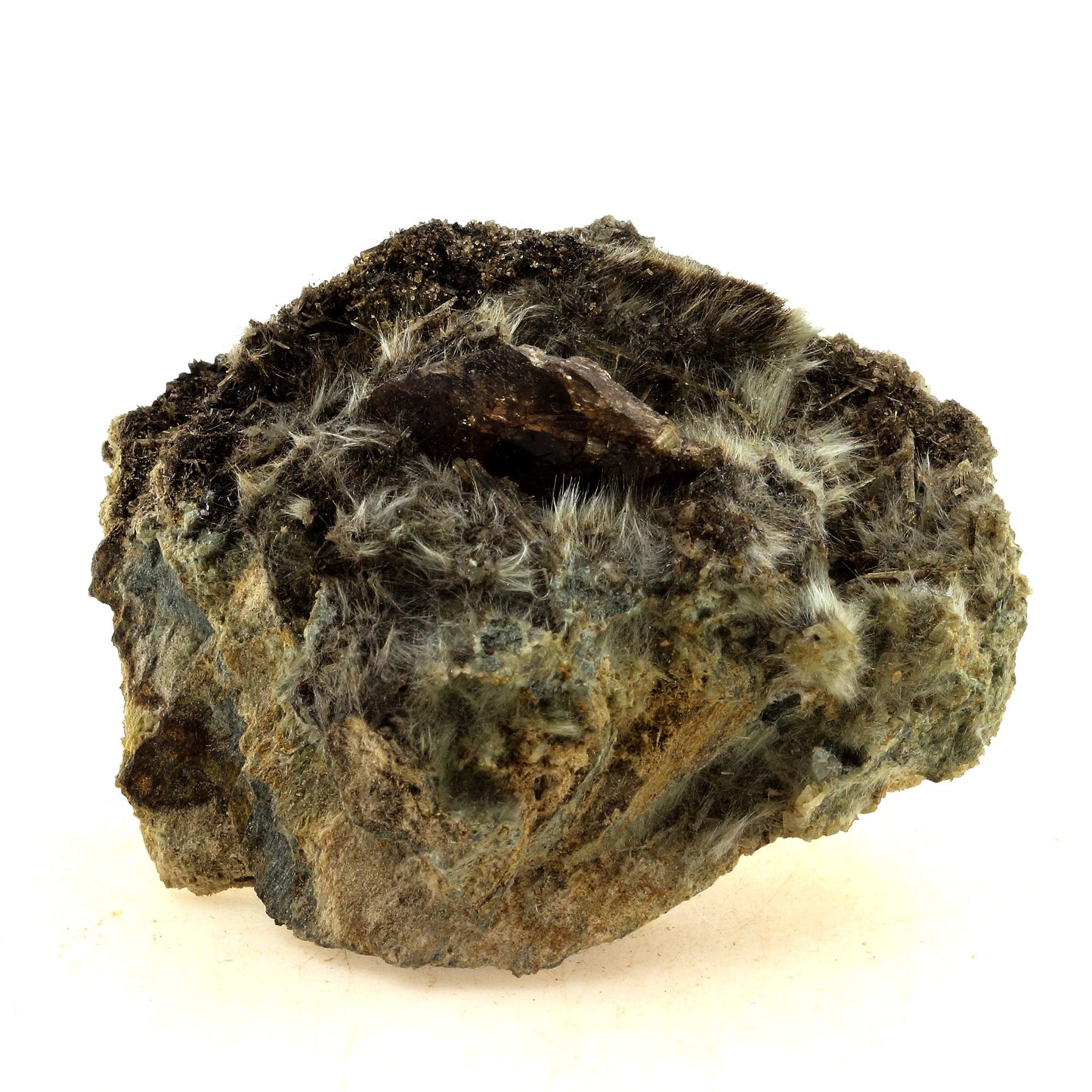 Axinite + Byssolite. 882.0 carats. Chamrousse, Belledonne, Isère, France