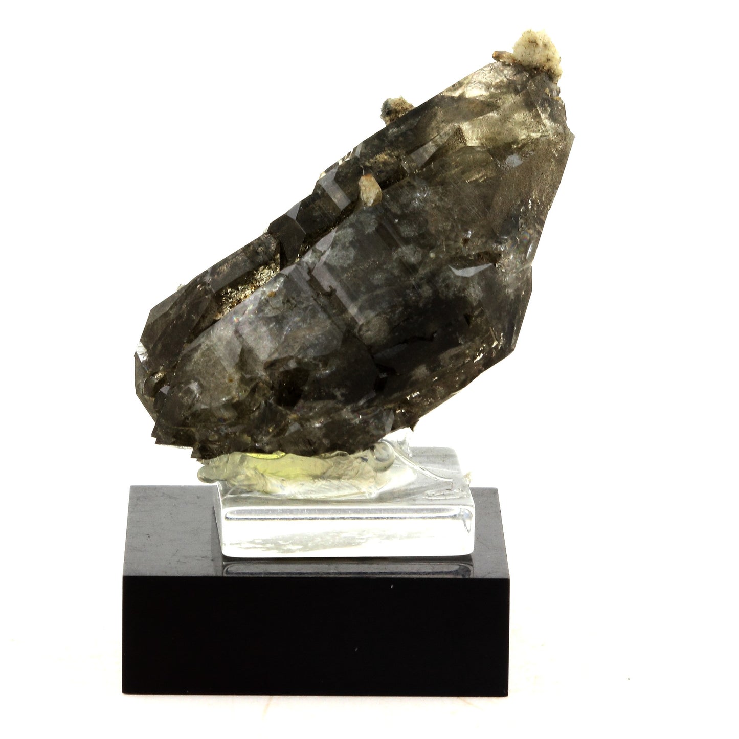 Quartz fumé Biterminé + Titanite. 113.0 carats. Massif Mont-Blanc, France