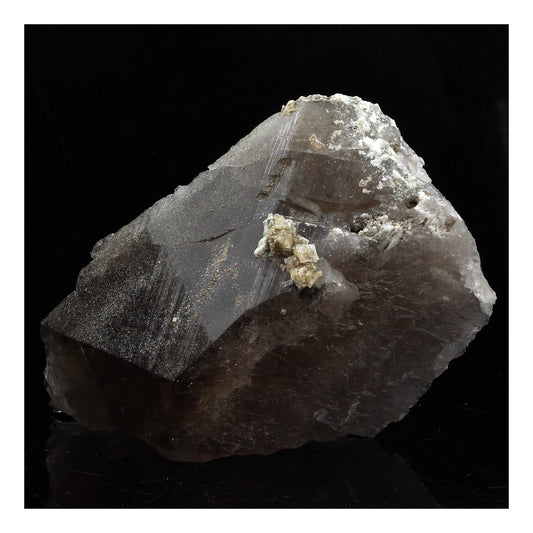 Quartz fumé + Chabazite. 679.0 carats. Galmihorn, Valais, Suisse