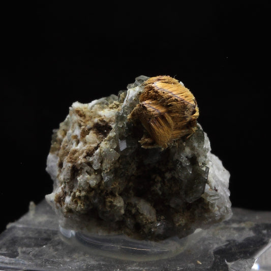 Anatase pseudomorphosée en Rutile. 24.0 carats. La Lauzière, Savoie, France