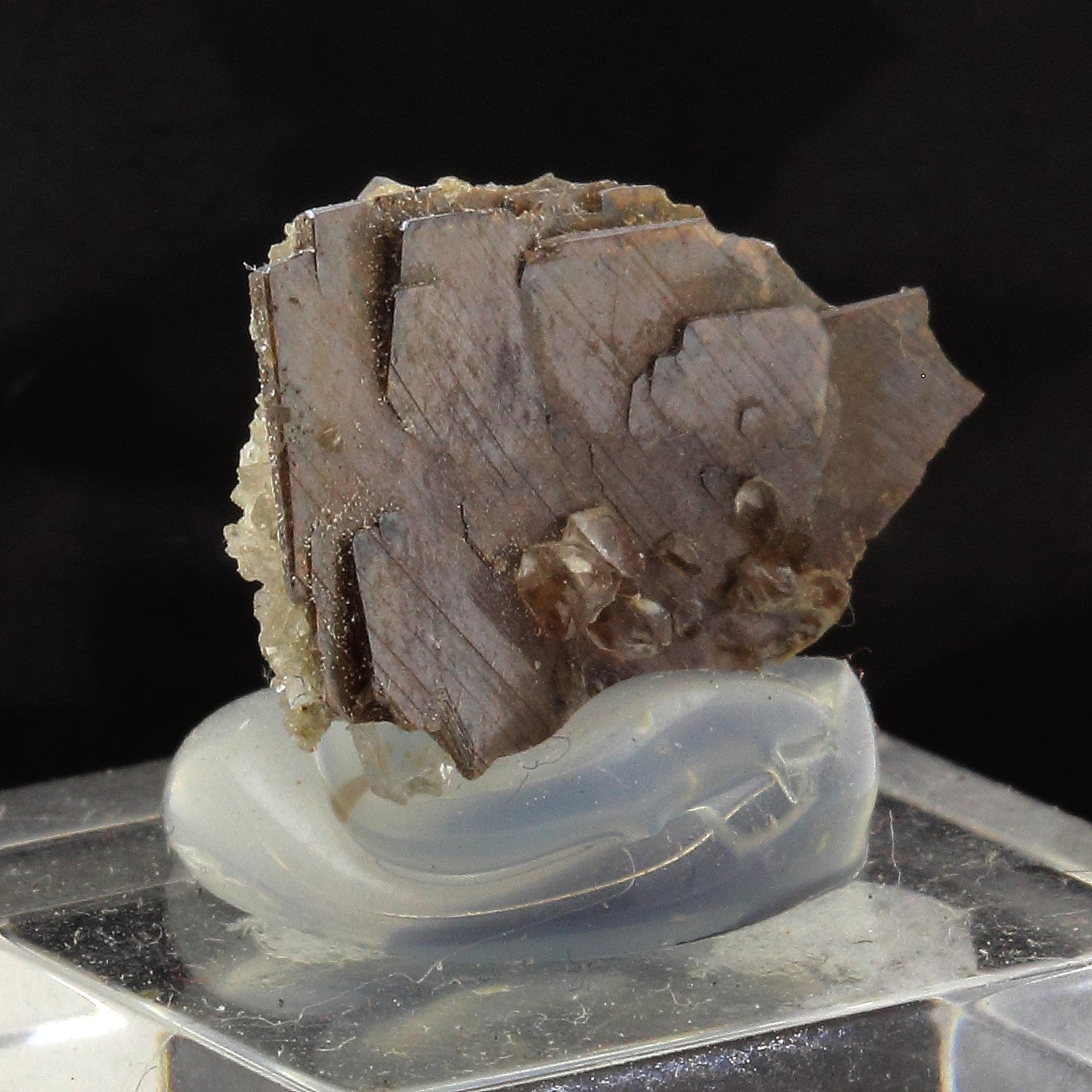 Brookite. 18.0 carats. Salvan, vallée du Trient, Valais, Suisse