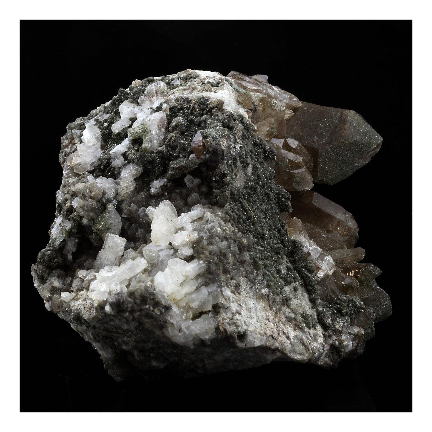 Anatase + Quartz + Chlorite. 858.0 carats. Entre Deux Roches, Massif de la Lauzière, France