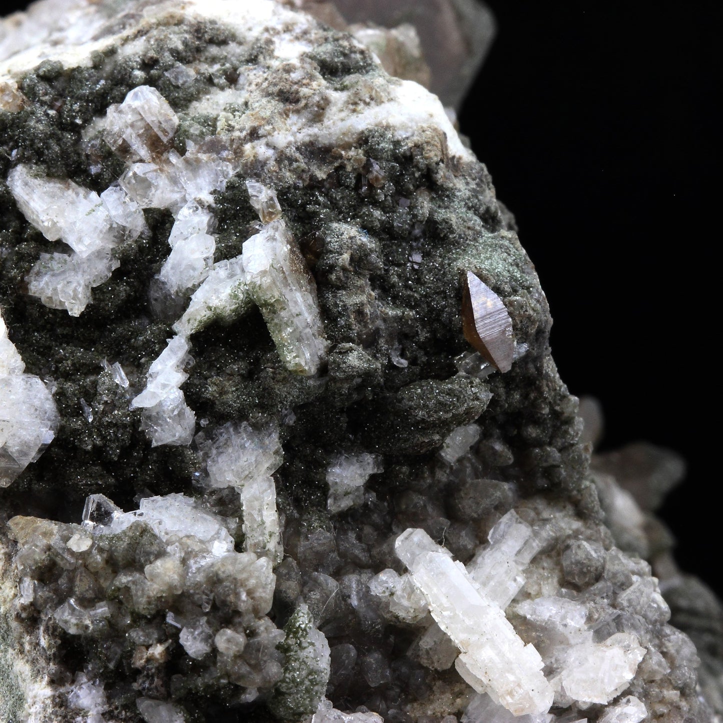 Anatase + Quartz + Chlorite. 858.0 carats. Entre Deux Roches, Massif de la Lauzière, France