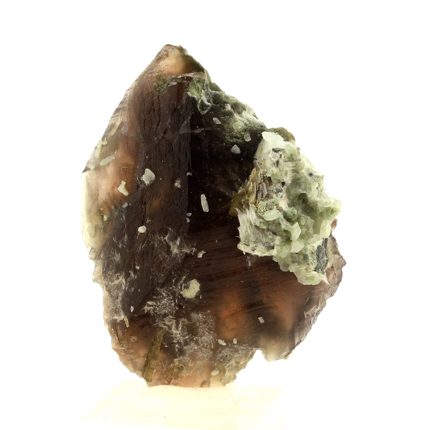 Axinite + Albite + Clinozoisite + Asbeste. 118.0 carats. La Balme d'Auris, France