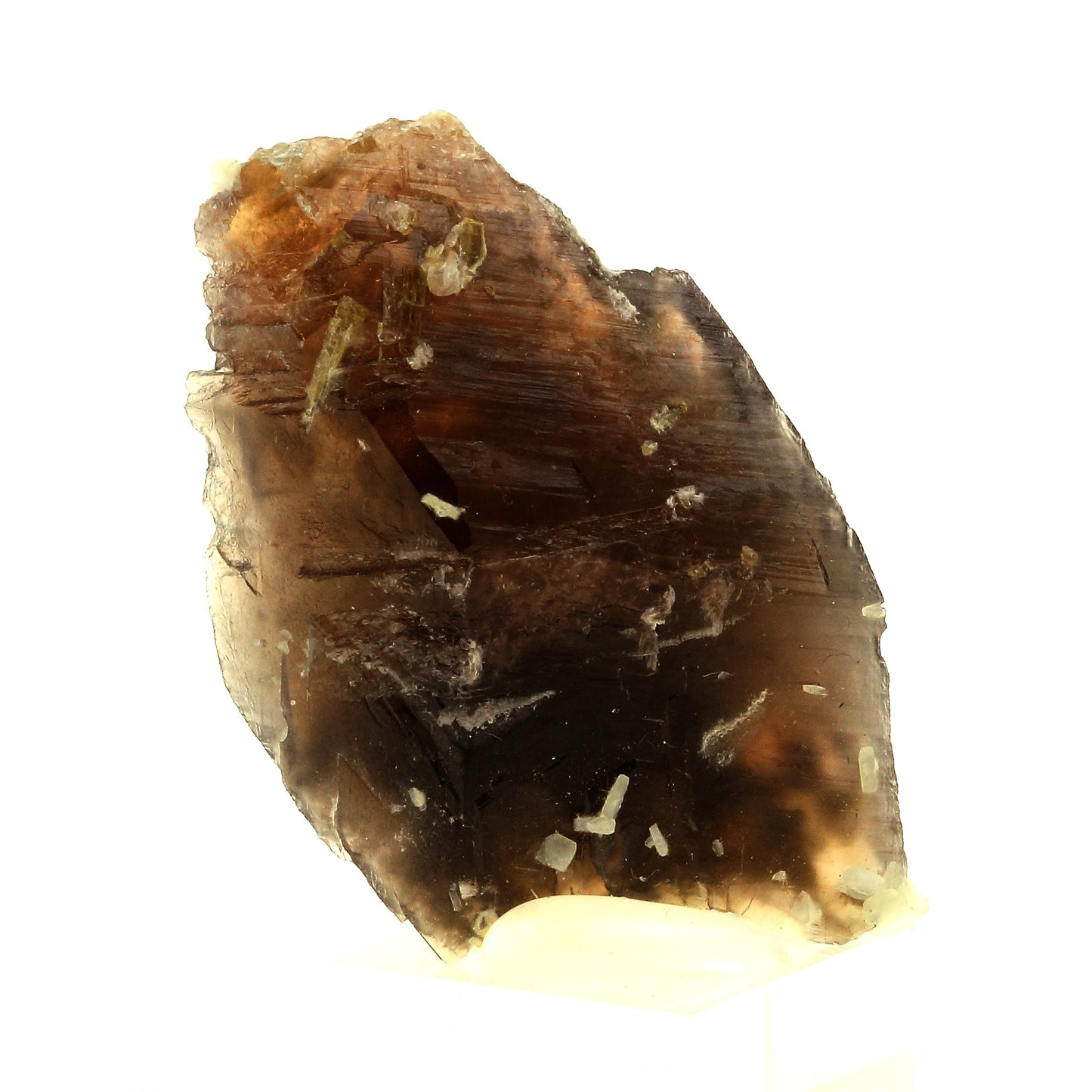 Axinite + Asbeste. 99.0 carats. La Balme d'Auris, Bourg d'Oisans, Isère, France
