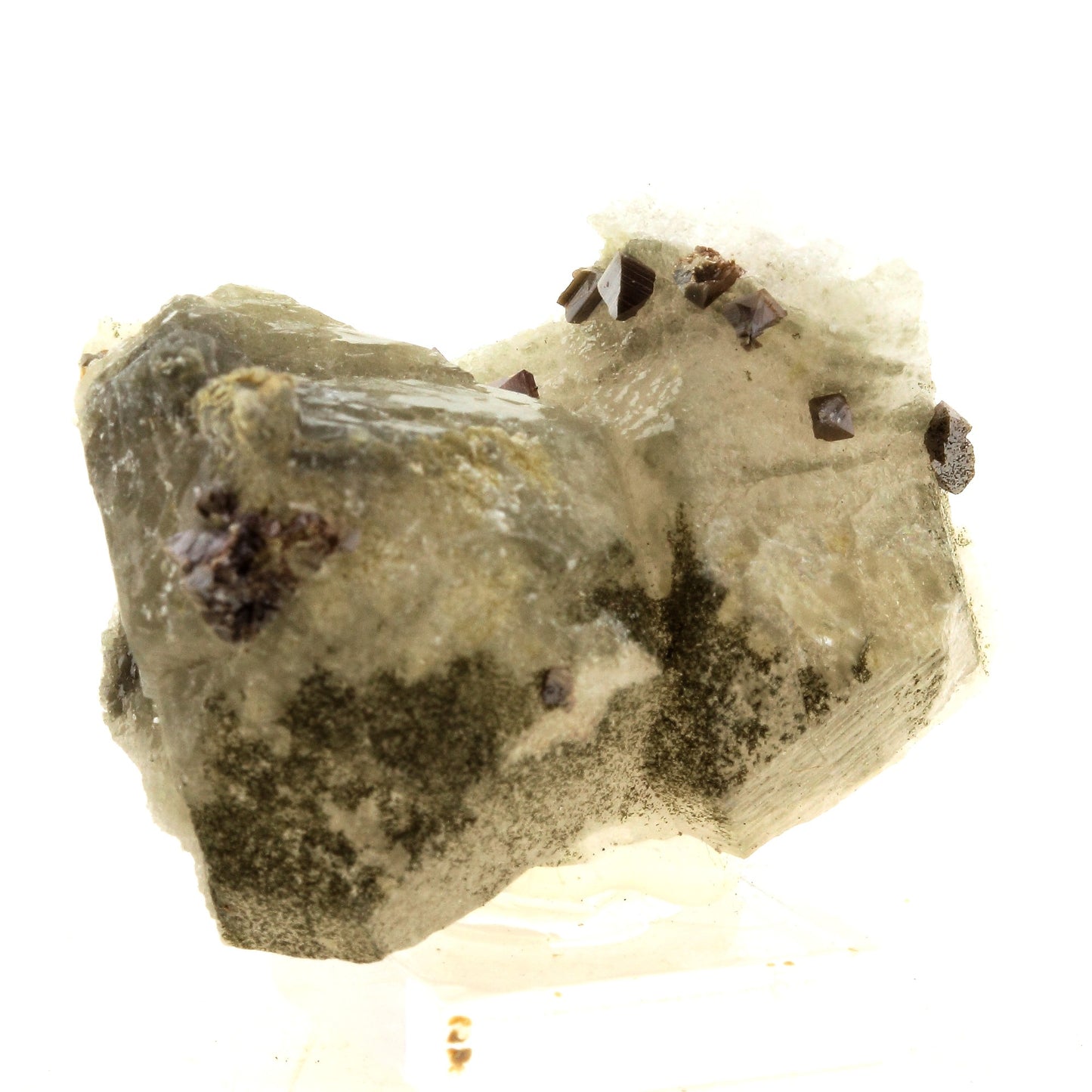 Anatase + Quartz + Chlorite. 175.0 carats. Les Rousses, Vaujany, Isère, France