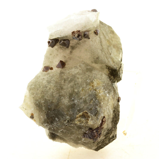 Anatase + Quartz + Chlorite. 175.0 carats. Les Rousses, Vaujany, Isère, France