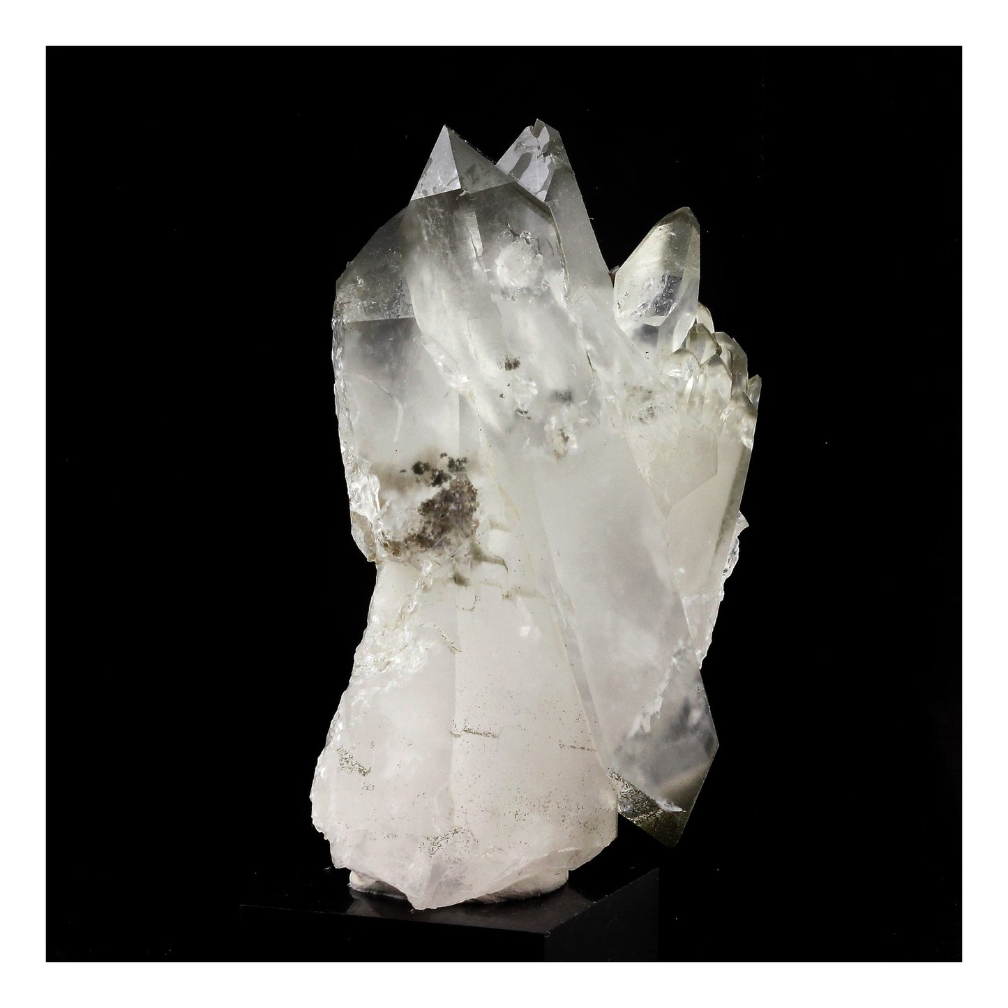 Anatase + Quartz + Chlorite. 580.0 carats. Les Rousses, Vaujany, Isère, France