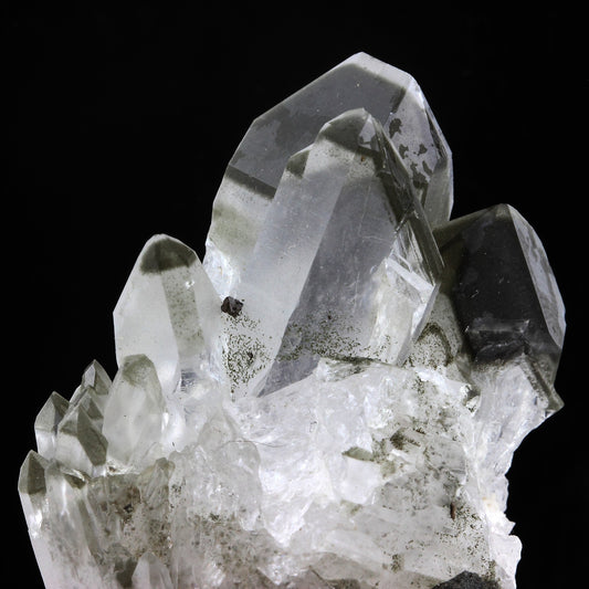 Anatase + Quartz + Chlorite. 580.0 carats. Les Rousses, Vaujany, Isère, France