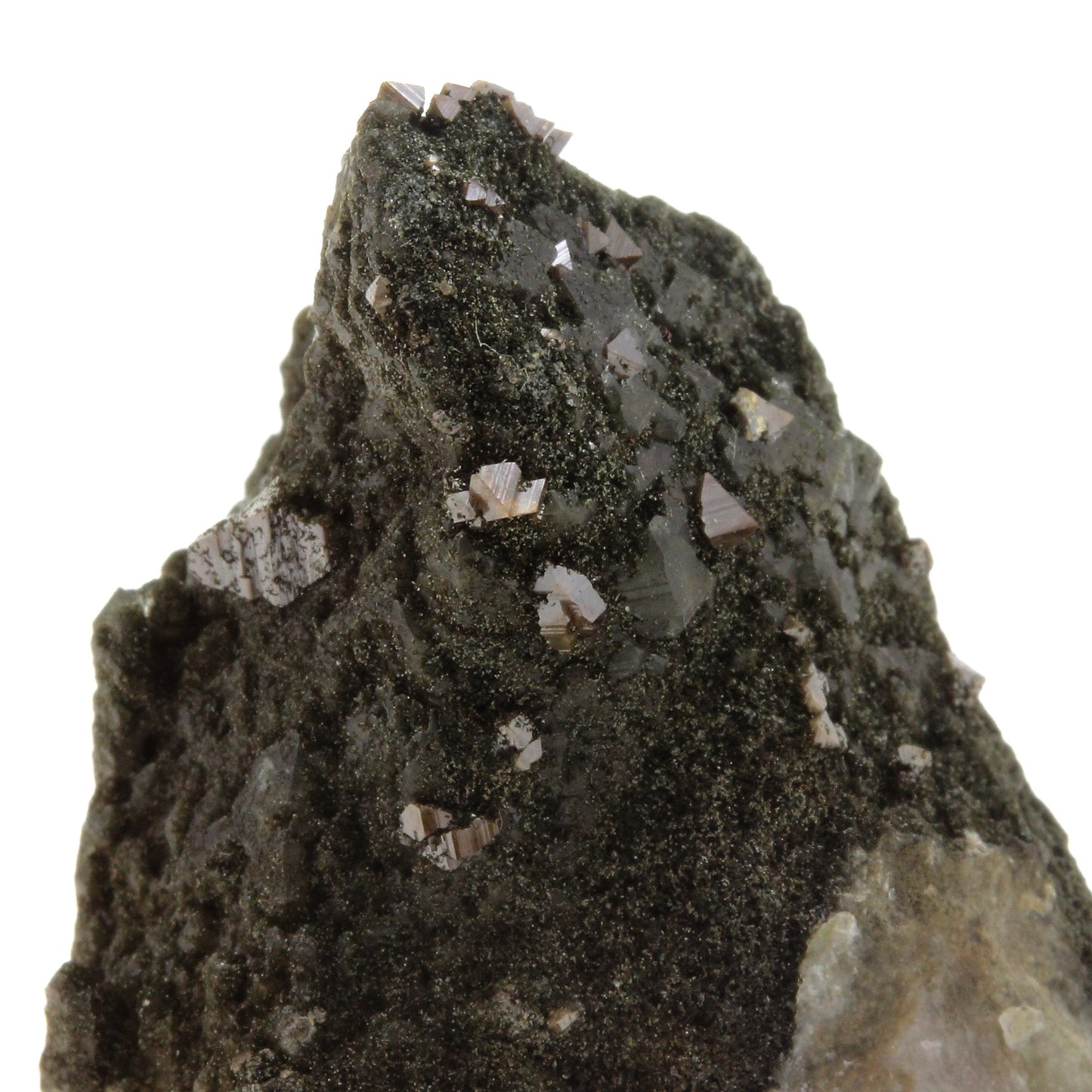 Anatase + Quartz + Chlorite. 162.0 carats. Les Rousses, Vaujany, Isère, France