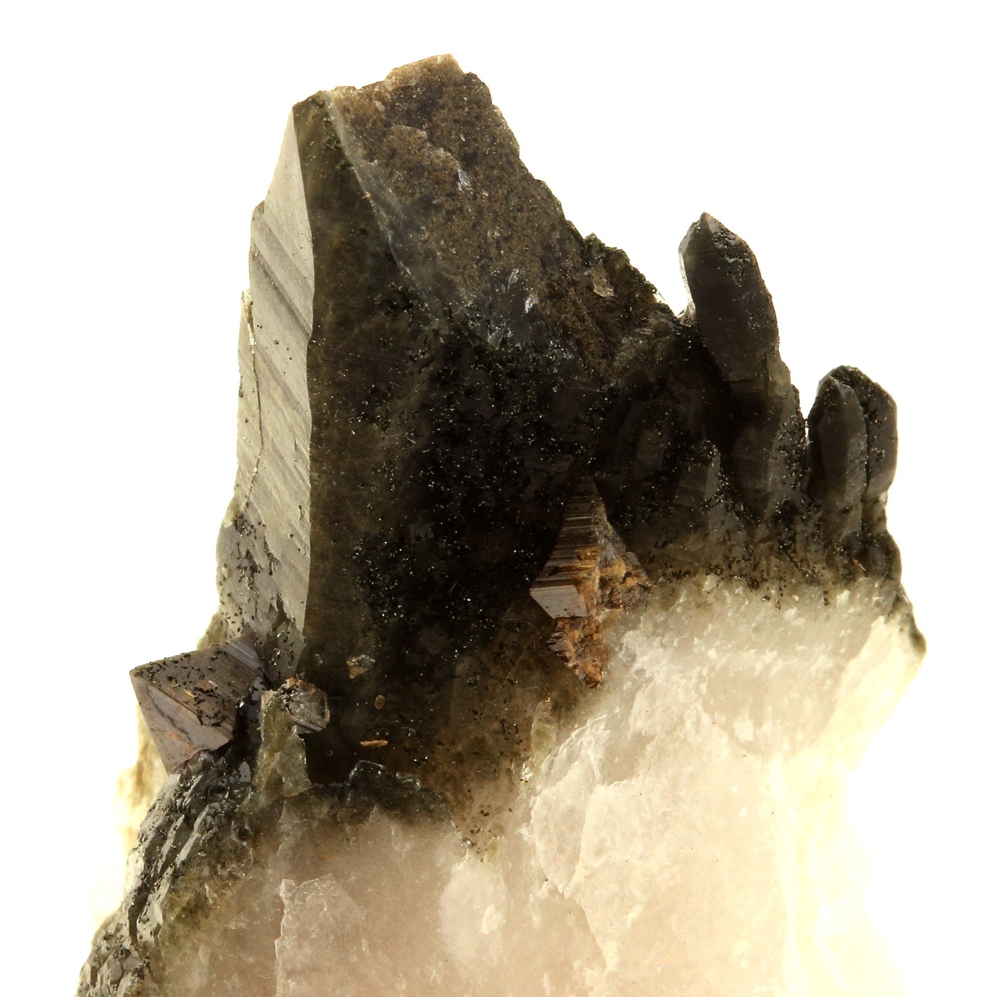 Anatase + Quartz + Chlorite. 123.0 carats. Les Rousses, Vaujany, Isère, France