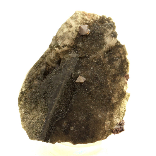 Anatase + Quartz + Chlorite. 124.0 carats. Les Rousses, Vaujany, Isère, France