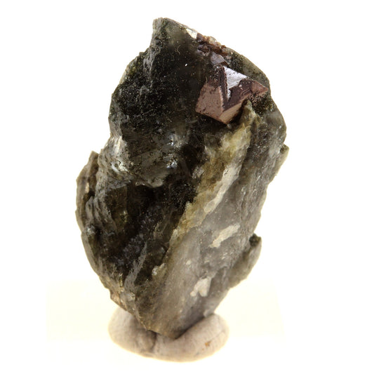 Anatase + Quartz + Chlorite. 36.0 carats. Les Rousses, Vaujany, Isère, France