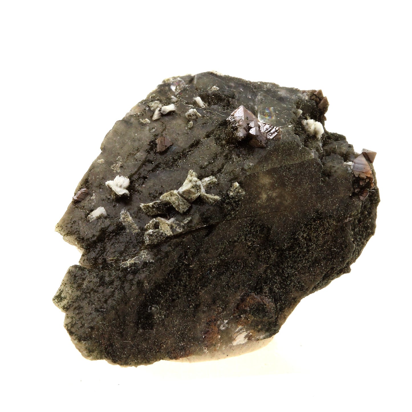 Anatase + Quartz + Chlorite. 57.0 carats. Les Rousses, Vaujany, Isère, France