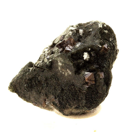 Anatase + Quartz + Chlorite. 57.0 carats. Les Rousses, Vaujany, Isère, France