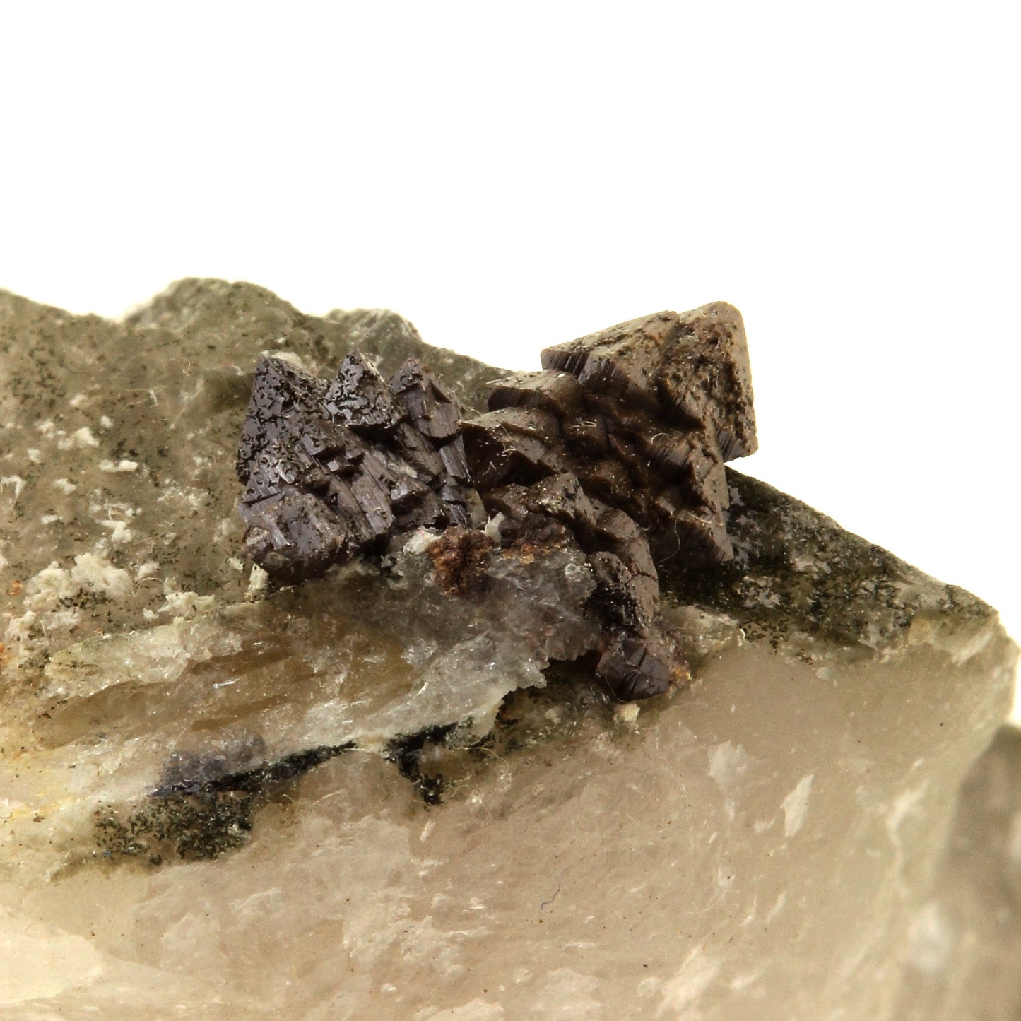 Anatase + Quartz + Chlorite. 167.0 carats. Les Rousses, Vaujany, Isère, France