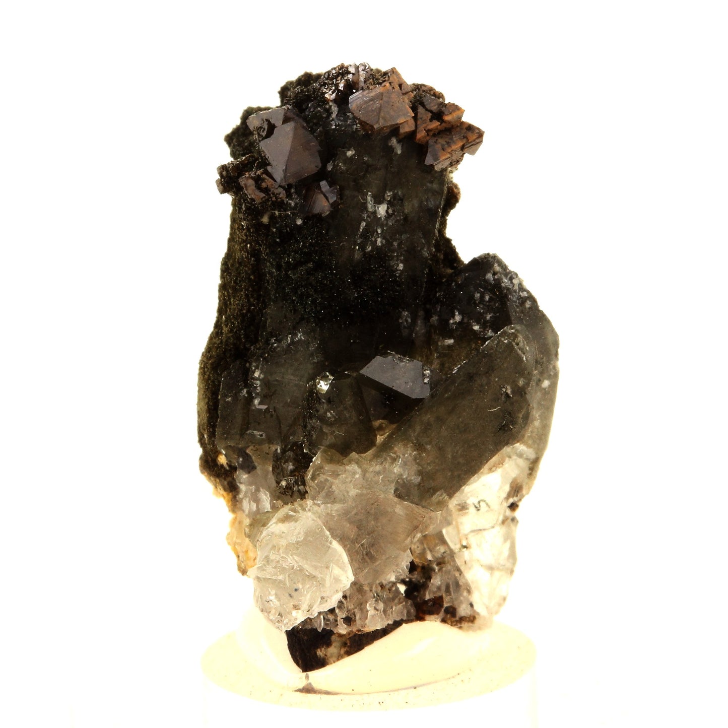 Anatase + Quartz + Chlorite. 39.0 carats. Les Rousses, Vaujany, Isère, France