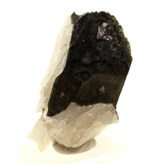 Anatase + Quartz + Chlorite. 76.0 carats. Les Rousses, Vaujany, Isère, France