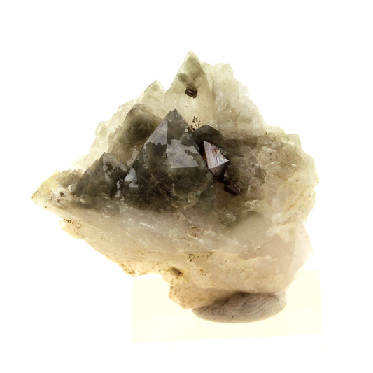 Anatase + Quartz + Chlorite. 45.0 carats. Les Rousses, Vaujany, Isère, France