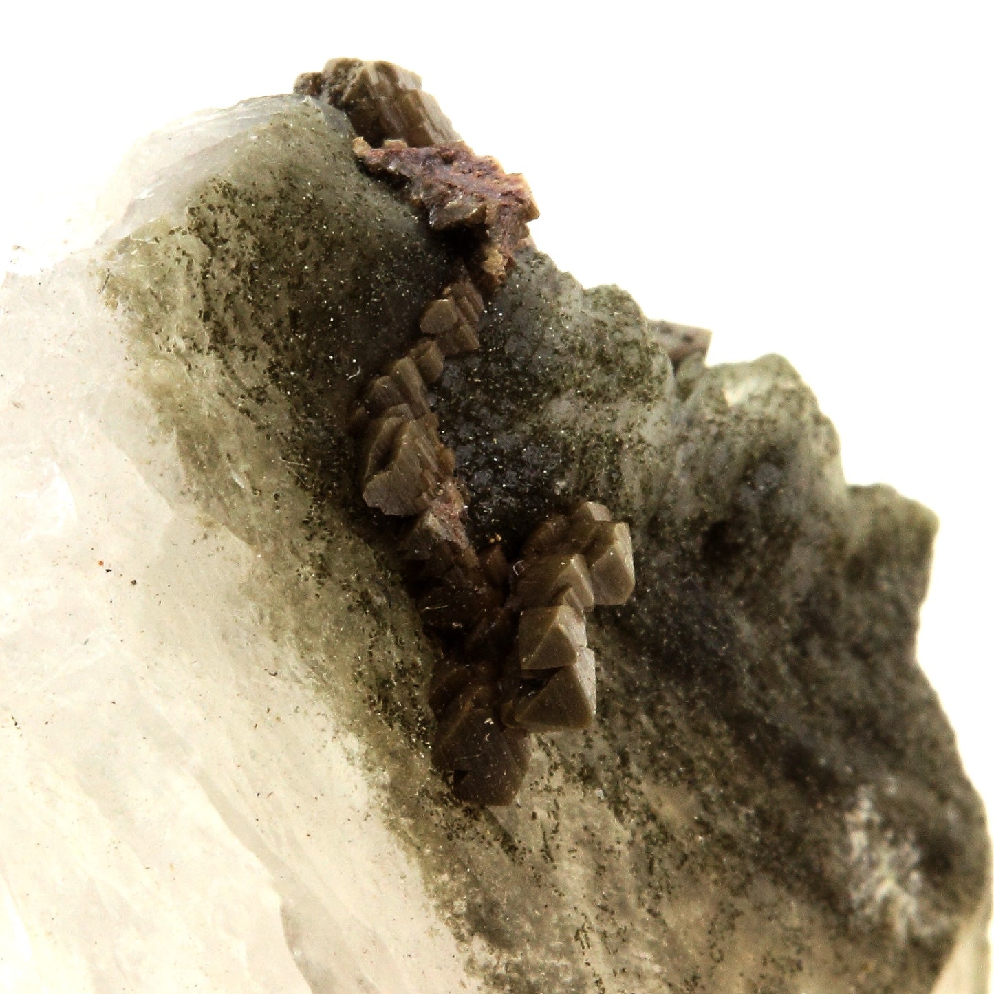 Anatase + Quartz + Chlorite. 42.0 carats. Les Rousses, Vaujany, Isère, France