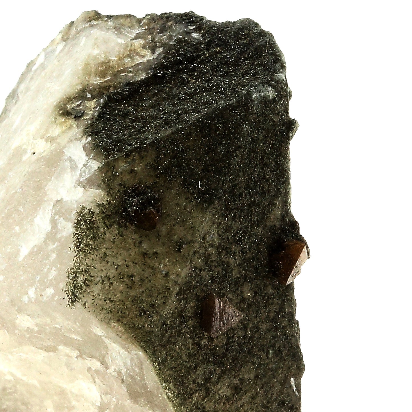 Anatase + Quartz + Chlorite. 115.0 carats. Les Rousses, Vaujany, Isère, France